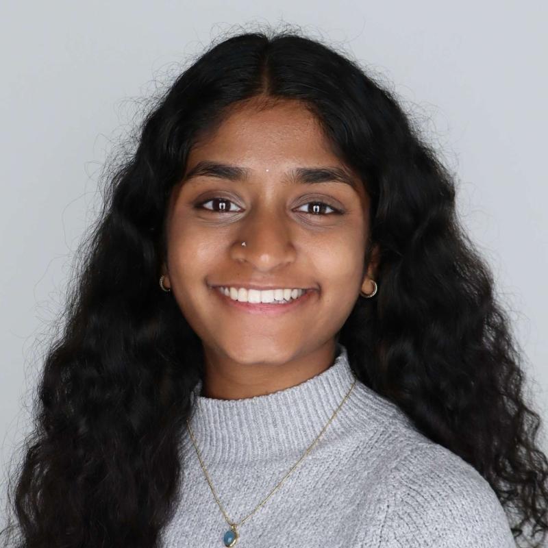 Pallavi